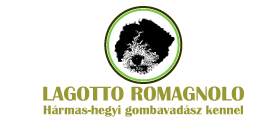 Lagotto Romagnolo
