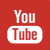 lagotto romagnolo-youtube